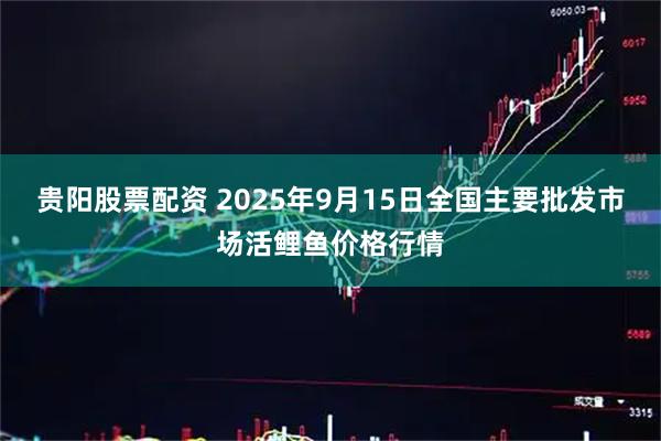 贵阳股票配资 2025年9月15日全国主要批发市场活鲤鱼价格行情