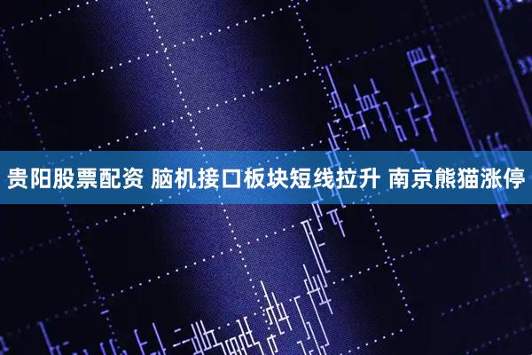 贵阳股票配资 脑机接口板块短线拉升 南京熊猫涨停