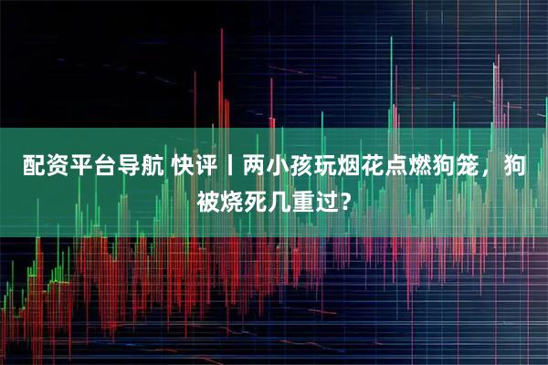 配资平台导航 快评丨两小孩玩烟花点燃狗笼，狗被烧死几重过？